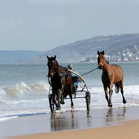 Cote Plage & Balcon Cabourg Exterior photo